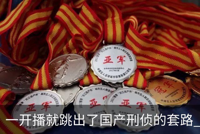 一开播就跳出了国产刑侦的套路 ，走进一场凶案现场 ，值得一看