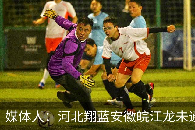 媒体人：河北翔蓝/安徽皖江龙未通过准入审查 缺席新赛季NBL