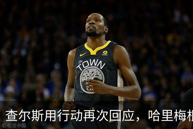 查尔斯用行动再次回应，哈里梅根进退两难，半进半出计划居然落空
