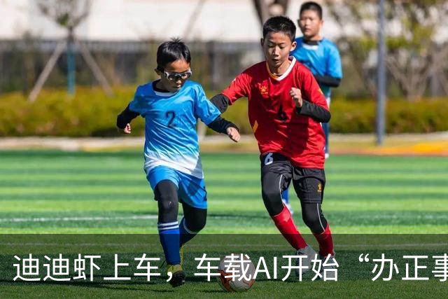 迪迪虾上车，车载AI开始“办正事”