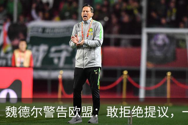 魏德尔警告欧盟：敢拒绝提议，一旦选择党上台，德国直接公投脱欧