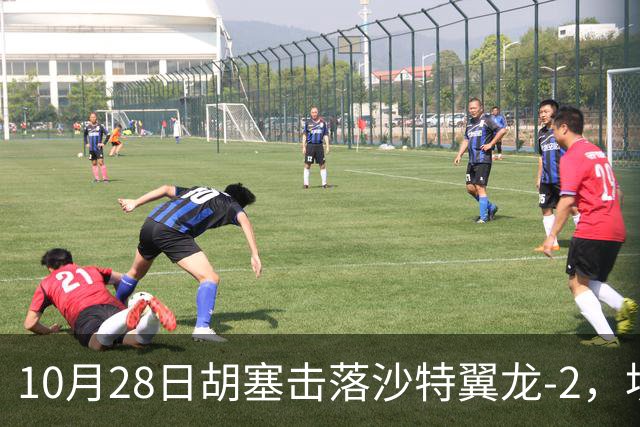 10月28日胡塞击落沙特翼龙-2，埃及议会三分之二多数授权防卫支援