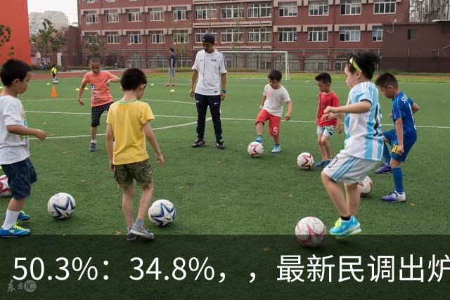 50.3%：34.8%，，最新民调出炉！郑丽文全力冲刺，吴子嘉可能成关键