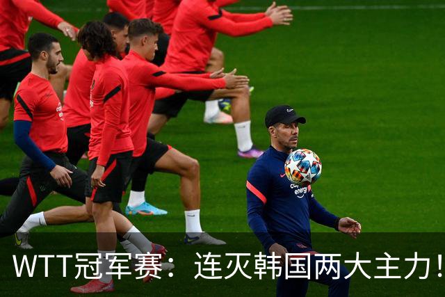 WTT冠军赛：连灭韩国两大主力！林诗栋3-0安宰贤，下轮战莫雷加德